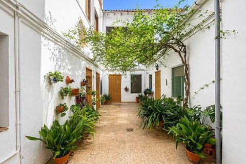 Landsbyhus i Aielo De Malferit, Valencia, Aielo De Malferit - € 165.000 | Ref: PNTH0033 - foto 36